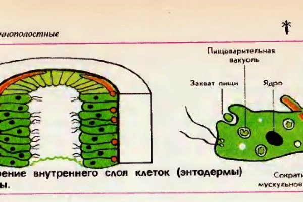 Актуальное зеркало kraken kraken zerkalo